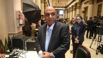 برلماني: تدشين فيس بوك مصري خطوة هامة لحماية الأمن القومي