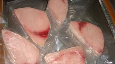 احذر.. تناول لحم سمك القرش يؤدي إلى الوفاة