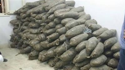 إحباط تهريب 650 كيلو بانجو عبر نفق الشهيد أحمد حمدي في السويس