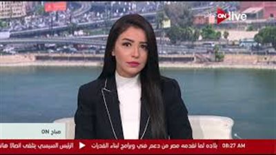 خبير: حوار السيسي والعاهل الأردني يؤكد أهمية قضية فلسطين (فيديو)