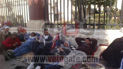 بالصور..اعتصام أهالى 