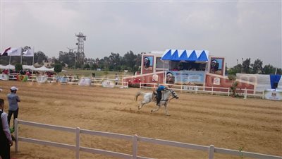 مصر تحصد فضية منافسات الفرق بكأس العالم لالتقاط الأوتاد