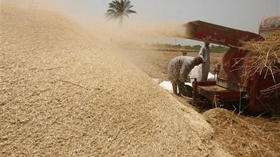 ضبط المتهم بالاستيلاء على 15 مليون جنيه من أرصدة القمح بأكتوبر