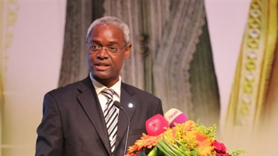 الأمم المتحدة: فقدان الفيلة يكلف أفريقيا 1.9 مليار دولار سنويًا