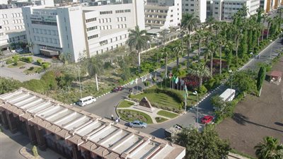 وقفة لأعضاء هيئة تدريس المنتمين للإرهابية بـ