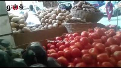 بالفيديو.. استقرار أسعار الخضراوات بالجيزة والبطاطس بـ5 جنيهات