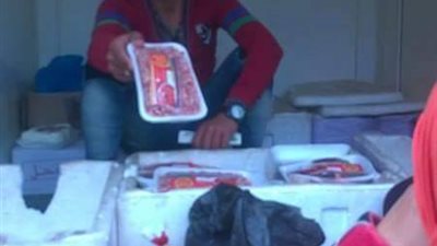 بالصور.. ضبط سيارة تبيع لحومًا مجهولة المصدر في الشرقية