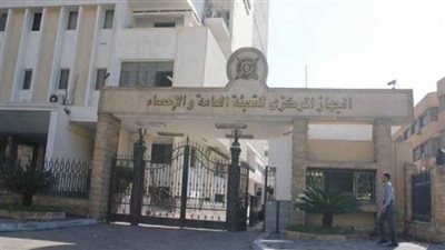 «الاحصاء»: الإناث يقضون ساعتين يوميًا لرعاية الأطفال والكبار