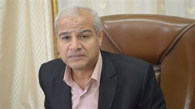 توريد 120 ألفا و753 طن قمح محلي بالمنوفية