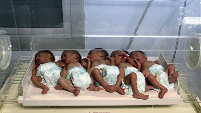 بلومبرج تحذر من عواقب ارتفاع نسب المواليد في مصر