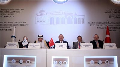 «التعاون الإسلامي» تدعو إلى تنسيق دولي لمحاسبة إسرائيل