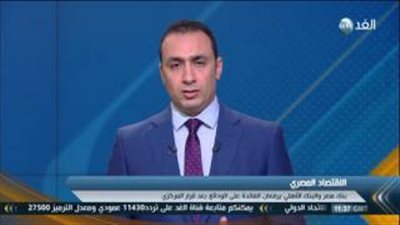 خبير اقتصادي: رفع سعر الفائدة يطيح بالاستثمارات ويرفع الدين المحلي