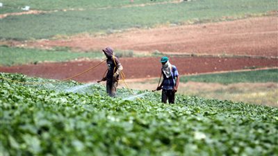 أهالي «بشاير الخير» بأسوان يشتكون انقطاع مياه الري