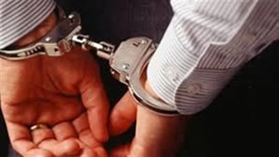 إخلاء سبيل متهم بالتعدي على طاقم طائرة بكفالة 5 آلاف جنيه