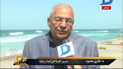 بالفيديو.. تحويل شاطئ الشاطبي في الإسكندرية لجراج سيارات