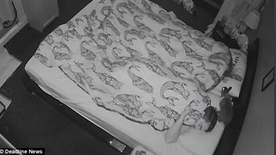 أرنب يمنع رجلا وخطيبته من النوم (فيديو وصور)