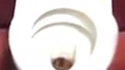 شاب يستقيل من عمله بسبب فأر (فيديو وصور)