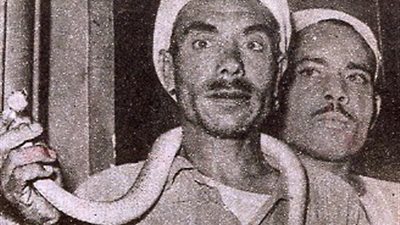 متهم يستخدم الثعابين لإرهاب القضاة منذ 58 عاما