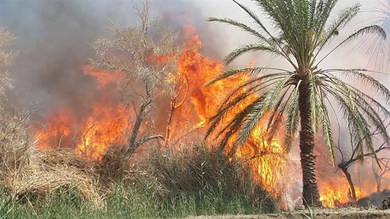 صورة ارشيفية