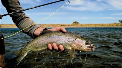 زيادة معدلات صيد الأسماك تنذر باختفائها من البحار بحلول 2050