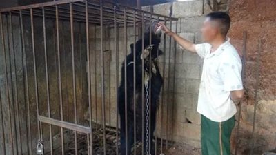 مفاجأة رجل يربي كلبا ليكتشف بحيوان آخر مفترس (فيديو وصور)