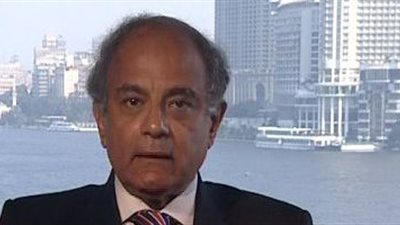 هريدي: علينا مواجهة الجماعات الإرهابية المتفرعة من «القاعدة»