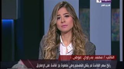 «اقتصادية النواب»: رفع سعر الفائدة يتسبب في 3 كوارث حقيقية