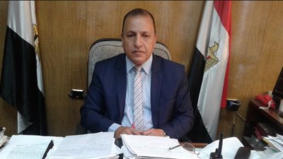 غباشي: كسر تمثال «زويل» بكفر الشيخ بفعل فاعل