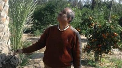 «زراعة الإسماعيلية» تعلن نتائج معالجة 4 محاصيل حقلية