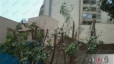 بالصور.. الانتهاء من تجميل شوارع غرب القاهرة