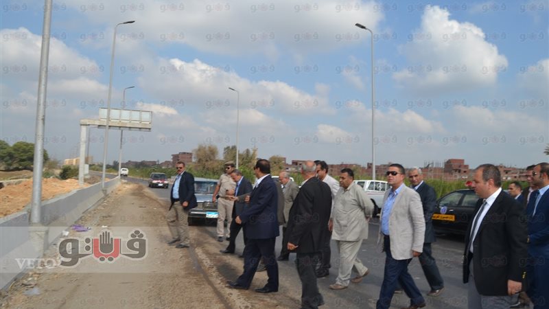 فيتو