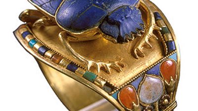 المادة المخاطية الموجودة في الجعران مرطبة للجسم ومضادة للتجاعيد