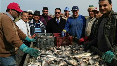 أستاذ أسماك يطالب ببيع إنتاج مزارع علوم البحار للمواطنين