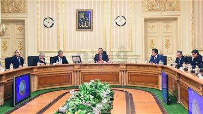 مدبولي: متابعة المشروعات على رأس أولويات الحكومة