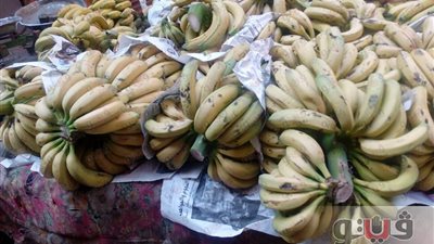 بالصور.. انخفاض أسعار الدواجن واللحوم والفاكهة بسوق المنيل