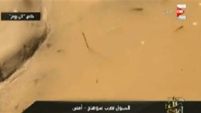 بالفيديو.. الأسماك تغزو شوارع سوهاج بسبب السيول