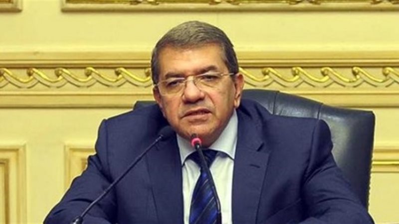 وزير المالية عمرو