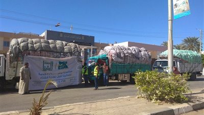 الوادي الجديد تتسلم 5500 كرتونة غذائية وبطانية من «مصر الخير»