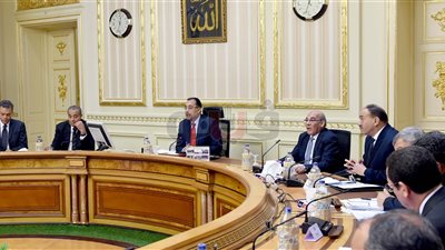 الحكومة: استعدادات خاصة لاستلام القمح المستورد خلال 6 أشهر