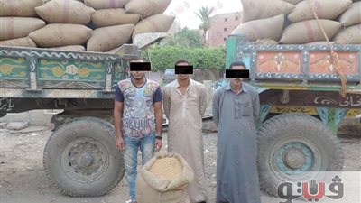 بالصور.. ضبط 46 طن قمح فاسد قبل توريدها إلى الشون بالفيوم