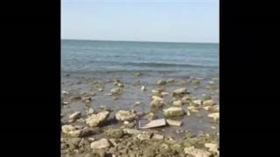 بالفيديو.. لحظة عثور كويتي على مجموعة من أعمال السحر بينها رأس خروف