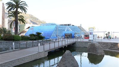 بالصور.. التجهيزات النهائية لحفل قرعة دوري أبطال أوروبا