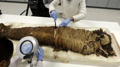 تفاصيل التقرير السري للجنة الرقابة الإدارية لمعاينة الآثار.. نصف المخازن لا يصلح لتخزين القطع الأثرية.. تطوير وتأهيل النصف الآخر ضرورة.. إنشاء قطاع للتسجيل والنشر العلمي.. وتشكيل لجنة عليا للجرد