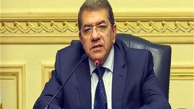 وزير المالية: الموافقة على التصالح في 260 حالة تهرب ضريبي وجمركي