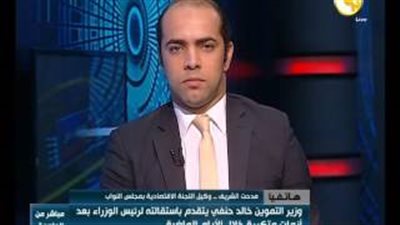 «برلماني»: فساد القمح أكبر جرائم وزير التموين