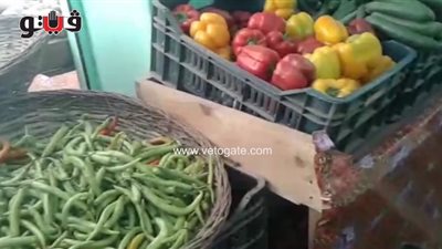 بالفيديو.. أسعار الخضروات بسوق الوفاء والأمل