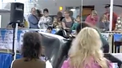 نهاية مروعة لامرأة في تحدى ركوب لعبة الثور (فيديو)