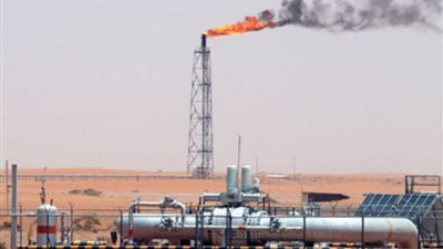 خبير عالمي: الأزمة الاقتصادية أطلت برأسها مبكرًا في قطر