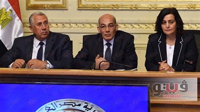 رئيس البنك الزراعي: ١٦٢٤ شخصًا تقدموا للحصول على قرض «البتلو»