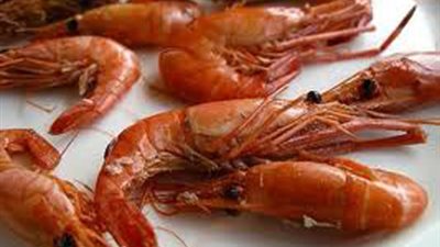 «الجمبرى جامبو» يسجل 185 جنيها في سوق الجملة